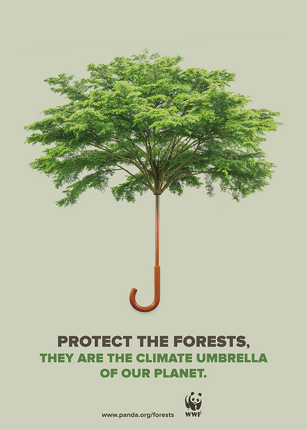 dissenycv.es-WWF-Forests-Jose-Llopis-CS