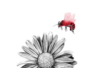 CuldeSac crea la nueva identidad para Blés de Aranleón.