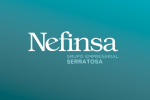 dissenycv.es-abranding-nefinsa1