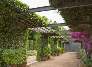 El Jardín de las Hespérides, conferencia de estudio VAM10