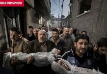 La muestra World Press Photo llega a Valencia