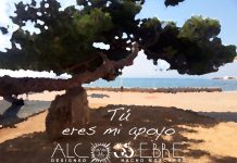 «Caso Alcossebre»: opinan los diseñadores gráficos