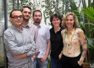 Carmel Gradolí: “El mayor problema en Valencia es que no existe un modelo de ciudad”