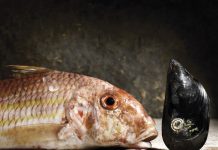 Formación en fotografía, mediante dos nuevos cursos de UMH