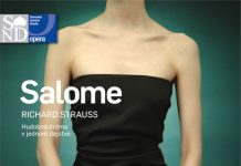 «Salomé», último proyecto del diseñador José Llopis