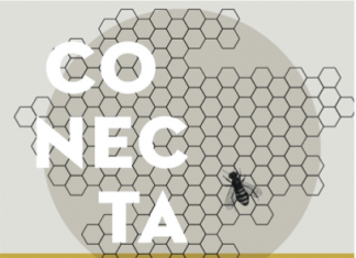 CONECTA, diseño en el casco histórico de Valencia