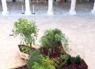 Valencia en un jardín