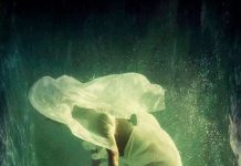 Las Cigarreras acoge un nuevo Mercado de Diseño de Alicante