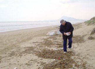 Pepe Gimeno, un diseñador en Nueva York