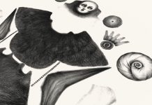 Dibujando al otro lado de Ana Juan