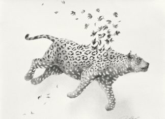 Plastic Murs, lápiz y papel