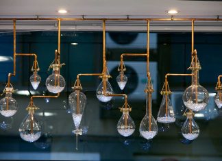 Un escaparate que enlaza medicina y naturaleza