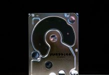 Valencia, capital internacional del nuevo lenguaje digital