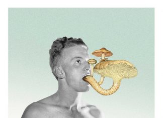 «Memento mori»: tres visiones sobre la fugacidad de la vida