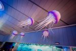 Medusas de paper art llenan el techo del Oceanogràfic