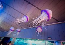 Medusas de paper art llenan el techo del Oceanogràfic