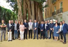 Les Corts reconoce la falta de un marco normativo adecuado para Enseñanzas Artísticas Superiores