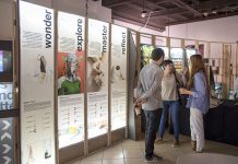 Enrique Galán: «Conexión by Finsa atrae tanto profesionales como a ciudadanos de a pie»