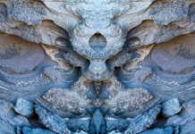 “Bestiari”, la naturaleza fotografiada por de Guillem Vidal