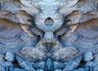 “Bestiari”, la naturaleza fotografiada por de Guillem Vidal