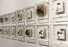 Anna Roig Llabata exposa a Galería Cuatro