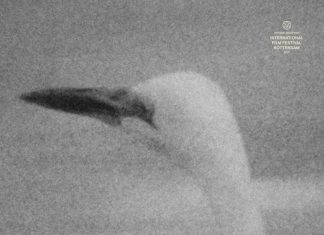 «Das Gestell», ganador del Premio al Mejor Cartel en La Cabina 2018