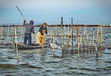 El ritual de la pesca, retratado en la exposición «Els músics de les aigües»