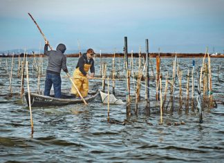El ritual de la pesca, retratado en la exposición «Els músics de les aigües»