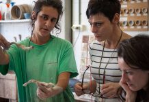 Diseño y cerámica llegan a EASD Castelló de la mano de La Tora y Eugenia Boscá