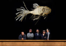 Xavier Giner: «LZF, una rara avis»