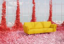 Missana lanza la colección Swan