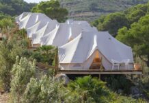 El proyecto Dreamsea Mediterranean Camp, galardonado en los premios COACV 2021