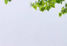 Jaime Hayón y Expormim, nuevos Premios nacionales de Diseño