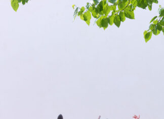 Jaime Hayón y Expormim, nuevos Premios nacionales de Diseño