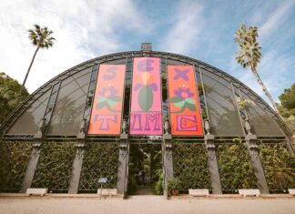 Cachetejack: ilustración, diseño y música en el Jardí Botànic