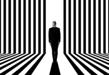 Estudio Creatias diseñará el cartel de la Mostra de València