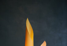 Disseny de producte emergent, nova expo en Rector Peset