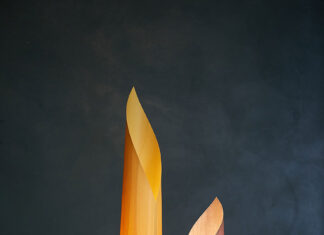 Disseny de producte emergent, nova expo en Rector Peset