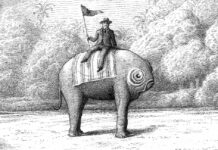 Sáez Castán y su fauna ilustrada invaden Russafa